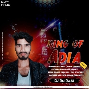 LACHKA MANI BABI (EDM TRANEC) DJ RM RAJU X DJ MANA BSP.mp3