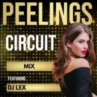 PEELINGS (CIRCUIT MIX) DJ LEX.mp3