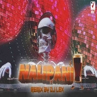 Nali Pani Ft Human Sagar (Trance Mix) Dj Lex.mp3