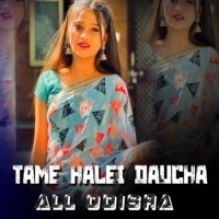 Tame Halei Daucha All Odisha (Desi X Circuit) Dj Monster.mp3