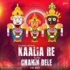 Kaalia Re Tote Chahin Dele (Re Mix) Dj Kunal Official