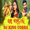 RASA JAMUDALI (SBP HUNTER MIX) DJ KING COBRA