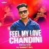 FEEL MY LOVE HAI RE MOR CHANDINI (UT RHYTHM MIX) DJ SAMBIT DKL