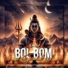BOLBOM MIX DJ PRAVAT