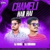 CHAMELI HAI HAI (CG TOPARI TRANCE REMIX) DJ RAHUL X DJ CHANDAN