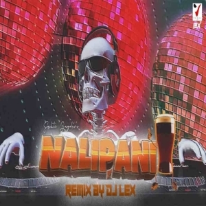 Nali Pani Ft Human Sagar (Trance Mix) Dj Lex.mp3