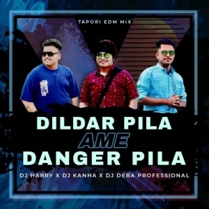 DILDAR PILA AME DANGER PILA (TAPORI VEDM MIX) DJ HARRY X DJ KANHA X DJ DEBA PROFESSIONAL.mp3