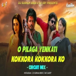O Pilaga Venkati x Kokkora Kokkora Ko (Circuit Mix) Dj Subham Bbsr X Dj Sry.mp3
