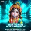 HAI RE MO KANHEI RAJA   DJ MAHESH BDK X DJ VICKY