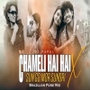 Chameli Hai Hai X Sun Go Mor Sundri (Sambalpuri X Brazilian Funk Mix) Dj Papul