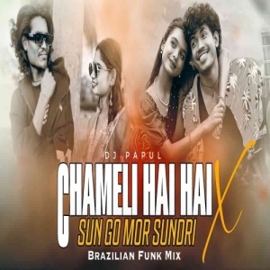 Chameli Hai Hai X Sun Go Mor Sundri (Sambalpuri X Brazilian Funk Mix) Dj Papul.mp3