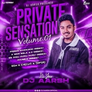 Ame Ta Pura Bekar Toka (Edm X Cg Trance) Dj R3 X Dj Aarsh.mp3