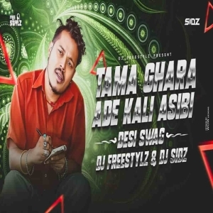 Tama Ghara Ade Kali Asibi (Desi Swag Mix) Dj Freestylz X Dj Sidz.mp3