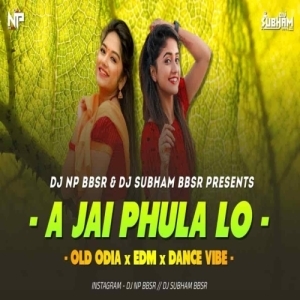 A Jai Phula Lo (Edm X Dance Vibe) Dj Np Bbsr X Dj Subham Bbsr.mp3