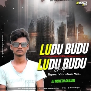 Ludu Budu (Tapori Vaibrate) Dj MuKEsh GaNJam.mp3