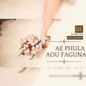 AE PHULA AOU FAGUNA TUMARI PAIN (UT VIBRATION MIX) DJ PABITRA NAYAGARH.mp3
