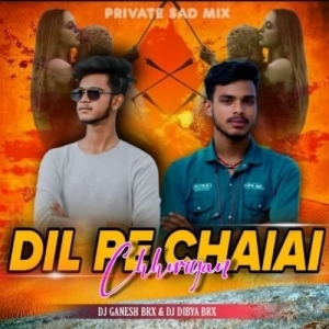 TOONE DIL KE RAKHIB (SAD MIX) DJ GANESH BRX FT DJ DIBYA BRX.mp3