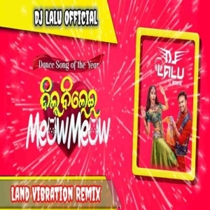 Dil Bilei Meow Meow (Land Vibrate X Roadshow Remix) DJ Lalu Official.mp3