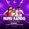 NUNU KANDIS NA (CIRCUIT MIX) DJ NANDA X ITS SMP OFFICIAL X DJ JONA