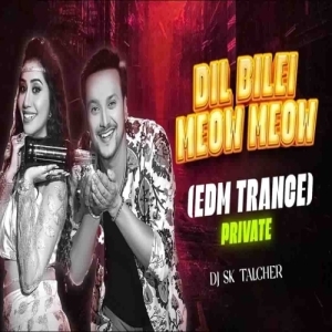 Dil Bilei Meow Meow (Edm Trance) DJ Sk Talcher.mp3