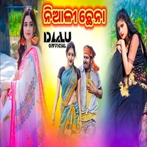 Narama Narama Niali Chhena (Circuit Mix) Dj Lalu Official.mp3
