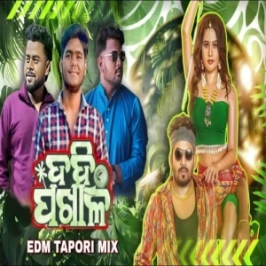 Dahi Pakhala (Odia Tapori Edm Mix) Dj Parida Bhai X Dj Abhi Rkl.mp3