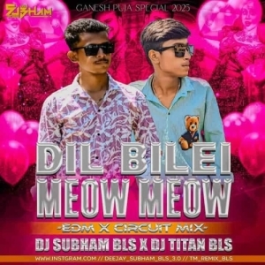 Dil Bilei Meow Meow (Edm Circuit Mix) Dj Subhan Bls x Dj Titan Bls.mp3