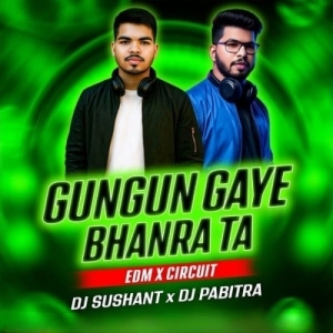 Gun Gun Gaye Bhanra Ta (Edm Circuit Mix) Dj Sushant x Dj Pabitra.mp3