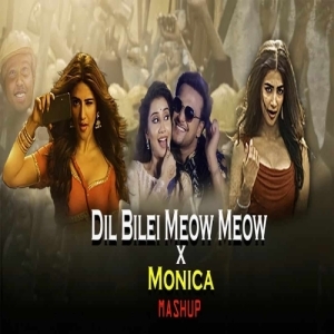 Dil Bilei Meow Meow X Monica (Odia X South Funky Dance Mashup) Dj Papul.mp3