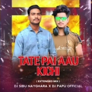 Tate Pai Aau Kichi Nahi Paibara (Extended Mix) Dj Papu Official x Dj Sibu Nayagarh.mp3