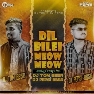 Dil Bilei Meow Meow (Edm X Circuit) Dj Pepsi Bbsr Nd Dj Tom Bbsr.mp3
