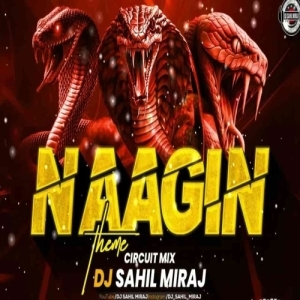 NAGIN THEME TRANCE DJ SAHIL MIRAJ.mp3
