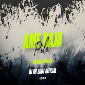 Aame Raja Pila Rework (Circuit Remix) Dj Baba Official.mp3