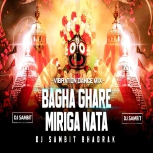BAGHA GHARE MIRIGA NATA (DANCE MIX) DJ SAMBIT BHADRAK.mp3