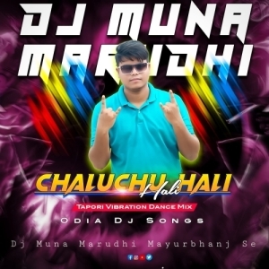 Chaluchu Hali Hali (Tapori Vibration Mix) DJ Muna Marudhi.mp3