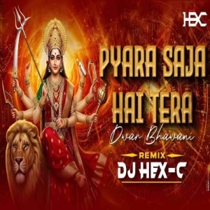 Pyara Saja Hai Tera Dwar (Edm Drop Mix) Dj Hex C.mp3