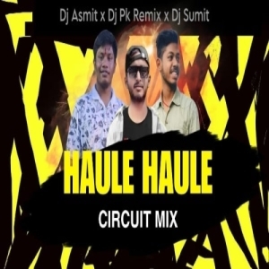 Haule Haule Dekhare Jauchi Chandi Medha (Circuit Mix) Dj Asmit x Dj Sumit x Dj Pk.mp3