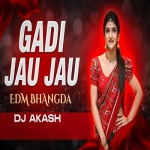 Gadi Jau Jau Atki Gala (Circuit X Bhangda) Dj Akash.mp3
