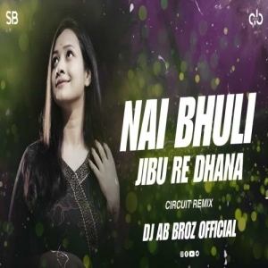 Nai Bhuli Jibu Re Dhana (Sambalpuri Circuit Remix) Dj AB Broz Official.mp3
