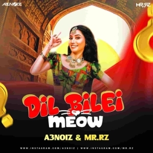 Dil Bilei Meow Meow (Mashup Remix) A3Noiz Ft Mr Rz.mp3