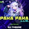 PAKA PAKA AAM (CIRCUIT TRIBAL MIX) DJ TUSHAR