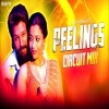 Peelings (Circuit Mix) DJ Sayn  Pushpa 2