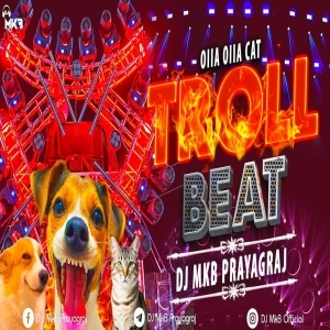 Viral Memes Troll Track (Edm Drop Remix) Dj Mkb Prayagraj.mp3