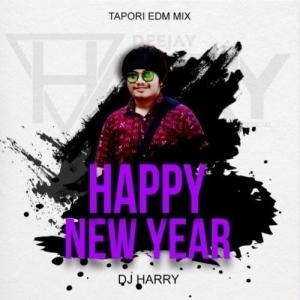 Happy New Year (Sambalpuri Tapori Edm Mix) Dj Harry.mp3