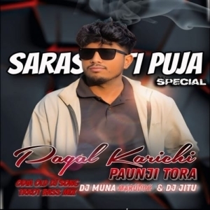 Pagala Karichi Paunji Tora (Tapori Trrot Mix) Dj Muna X Dj Jitu.mp3