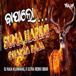 SUNA HARINI X GHANTA BAJA DJ RAJA KUJIMAHAL X ULTRA REMIX BBSR.mp3