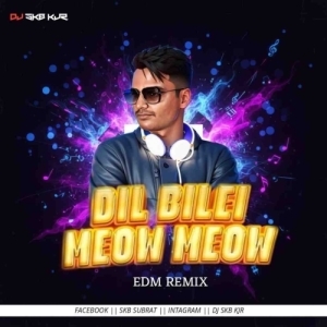 DIL BILEI MEOW MEOW (EDM TAPORI MIX) DJ SKB KJR.mp3