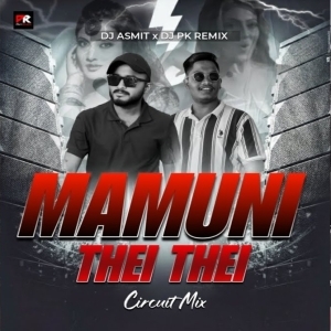 MAMUNI THEI THEI (CIRCUIT REMIX) DJ ASMIT x DJ PK REMIX.mp3