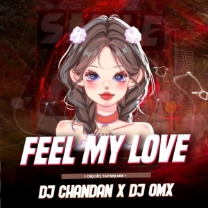 Feel My Love (Tapori Circuit Remix) Dj Omx x Dj Chandan.mp3